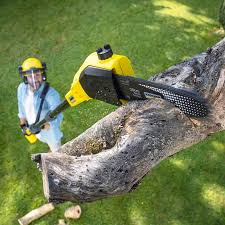 Reliable Green Cove Springs, FL Tree Removal Solutions